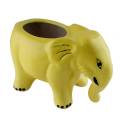 Ceramic Planters