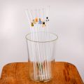 Glass Straw
