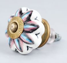 Osteospermum Knob
