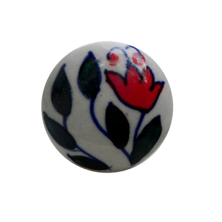 Chaenomeles Flat Knob