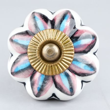 Osteospermum Knob