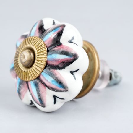 Osteospermum Knob
