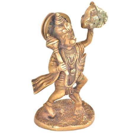 Lord Hanuman Statue with Mountain of Herbs