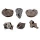 Set of 6 Piece New Mix Wooden Printing Block