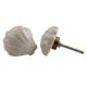 Cream Sea Shell Cabinet Knob