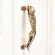 1 Piece Golden Jaguar Brass Door Cabinet Handle