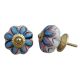 Osteospermum Knob