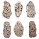 Set of 6 Piece New Mix Wooden Printing Block