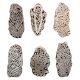 Set of 6 Piece New Mix Wooden Printing Block