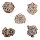 Set of 5 Piece New Mix Wooden Printing Block