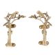 India Parrot Brass Door Handle - Set of 2