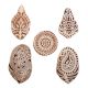 Set of 5 Piece New Mix Wooden Printing Blocks