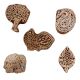 Set of 5 Piece New Mix Wooden Printing Blocks