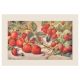 Strawberry Rasberry Seamless Pattern Poster