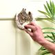 Handmade Brass Horse Shoe Door Knocker