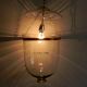 Clear U Ceiling Lamp