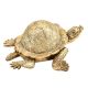 Hand Crafted Brass Turtle With Trinket Storage Hinged Lid