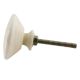 Cream Calendula Bon Bon Bone Cabinet Knobs