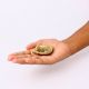 Conch Oil Lamp Diya Or Puja Lamps