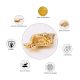 Decorative Conch Single Wick Oil Lamp Diya