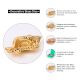 Decorative Conch Single Wick Oil Lamp Diya