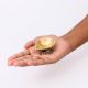Brass Single Wick Traditional Brass Oil Diya