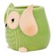Cute Green Owl Ceramic Pot Planter