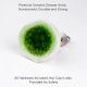 Olive Green Ceramic Dresser Knob