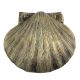 Antique Sea Shell Iron Door Knocker