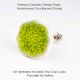 Lime Green Ceramic Drawer Knob
