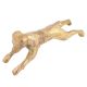 Running Small Dog for Your Living Room