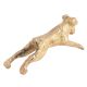 Running Small Dog for Your Living Room