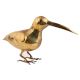 Bird With Long Beak