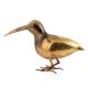 Bird With Long Beak