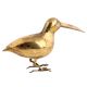 Bird With Long Beak