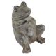 Iron Frog-shaped Decor Item