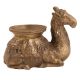 Rajasthan Style Camel Statue