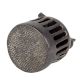 Brass Peacock Foot ScrubberÂ In Black Finish