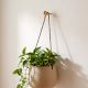 Solid Golden Knot Brass Wall Hooks-Pack of 3