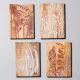 Wooden Charm Wall Plate Set of 4
