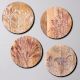 Whispering Woods Wall Plate Set of 4