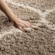 Modern Beige Plush Bedroom Rug