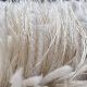 Textured Shaggy Hall Rug