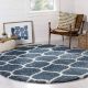 Soft Blue Shaggy Hall Carpet