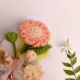 Soft Peach Crochet Daisy With Ivory Blossoms