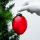 Red Avocado Box Cut Christmas Hanging