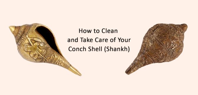 How to Clean and Take Care of Your Conch Shell (Shankh)