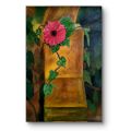 As it Appears